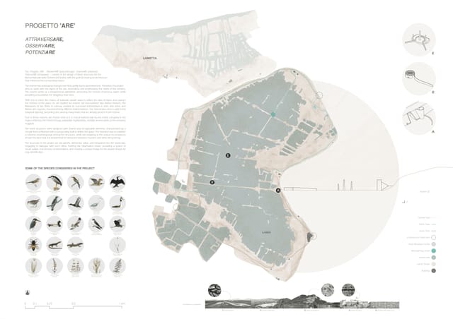 Competition board with the reserve site plan, the ARE concept text and illustrations of local species.