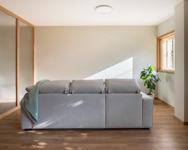 Living area with a grey sofa, plant and window, sunlight falling across the wall and wooden floor.