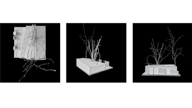 Three views of a white conceptual model with branch-like elements against a black background.